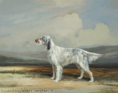 Setter Anglais MARVEL OF CROMBIE